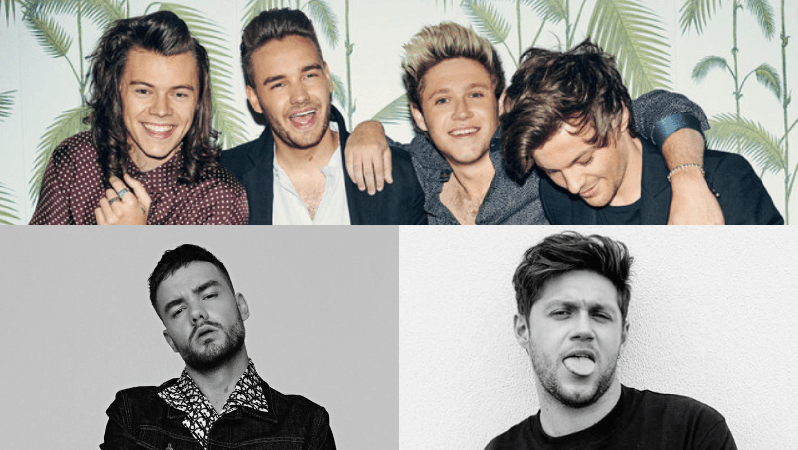 ¿Reunion de algunos integrantes de One direction en Argentina ?