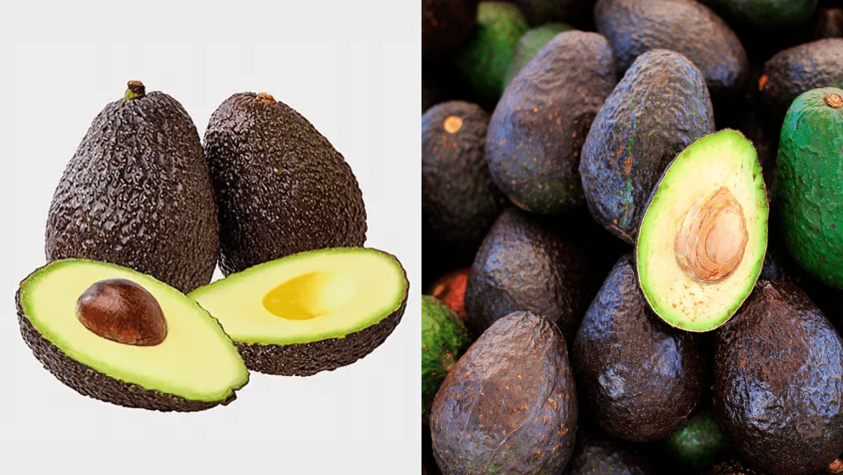 Beneficios del aguacate en la salud